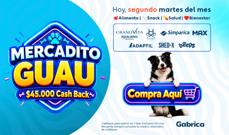 Gabrica Fest Perro